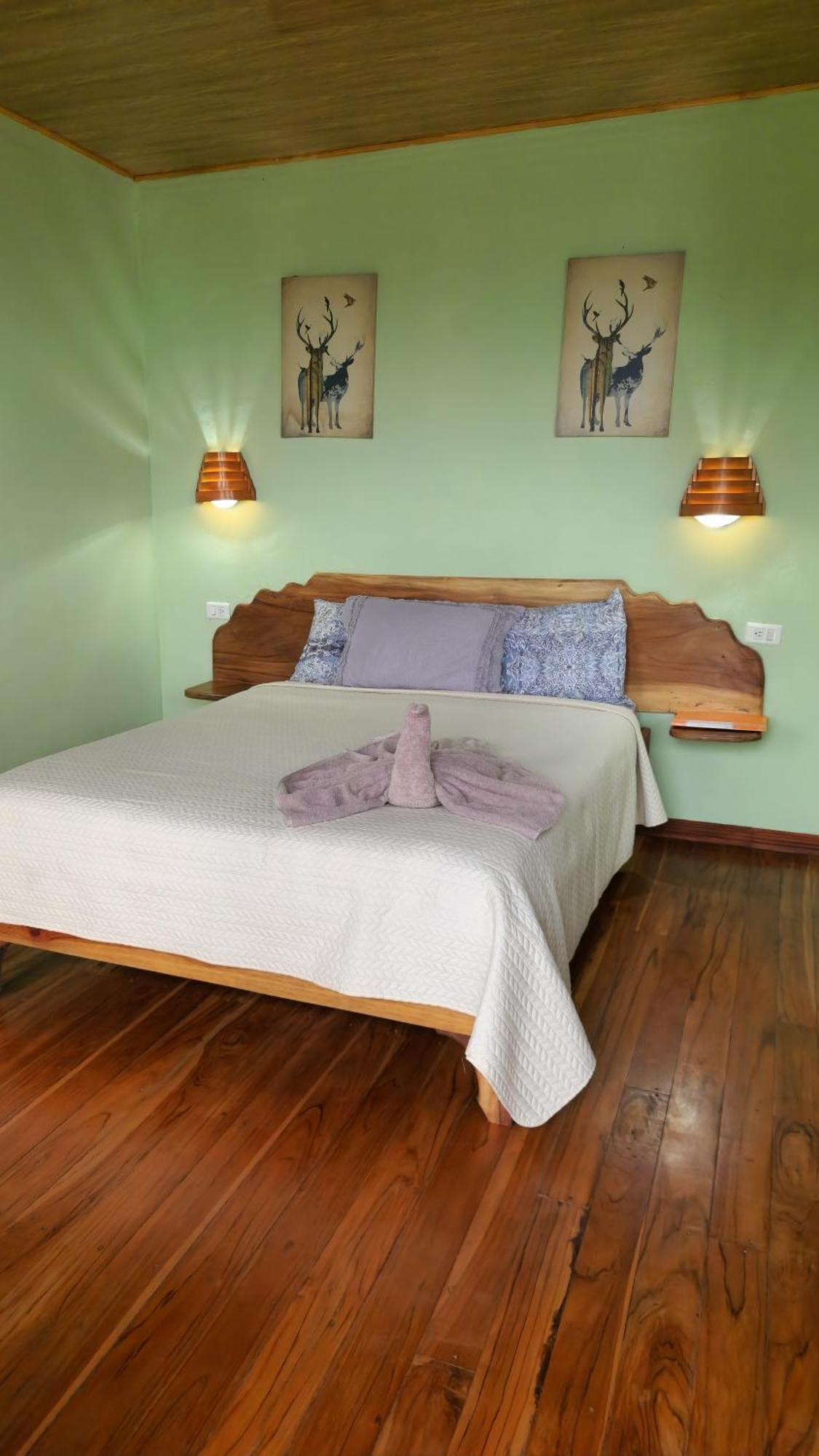 Twin Palms Lodge Monteverde 客房 照片